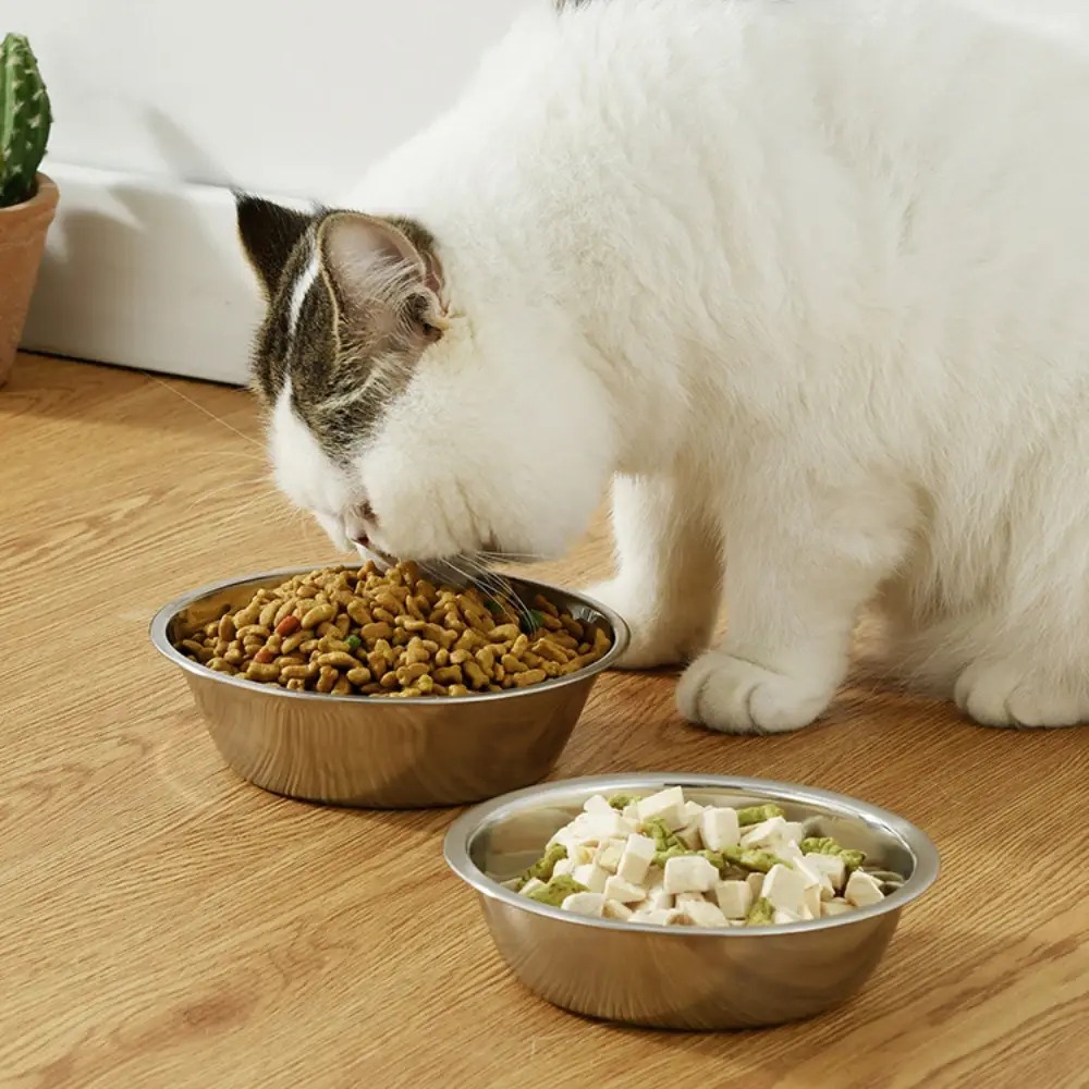 Large Capacity Bowl Stainless Steel Safe Durable Pet Feeding Bowl Cat Dog Food Drinking Feeder Bowl Pet Supplies