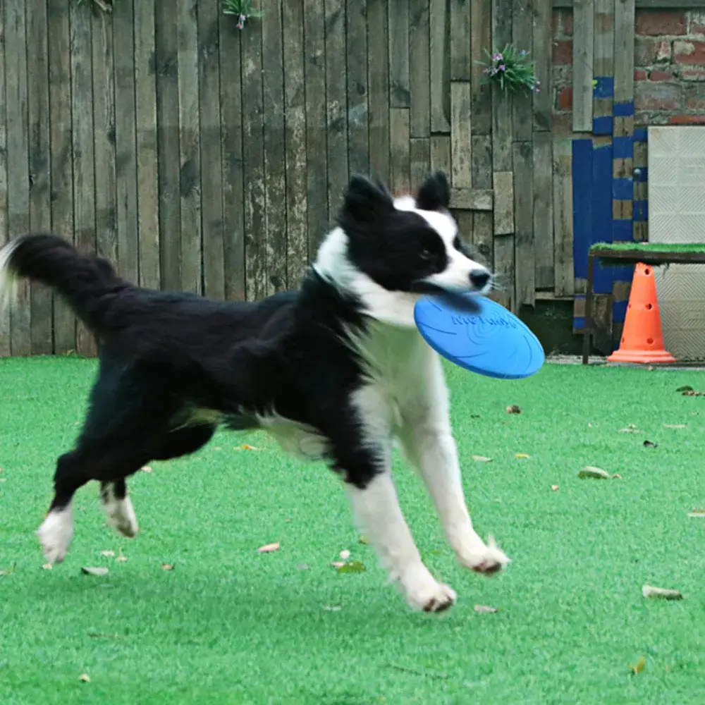 Dog Frisbeed Toys Multicolor Pet Dog Outdoor Game Flying Discs Trainning Interactive Toy Bite Resistant Flying Disc Pet Supplies