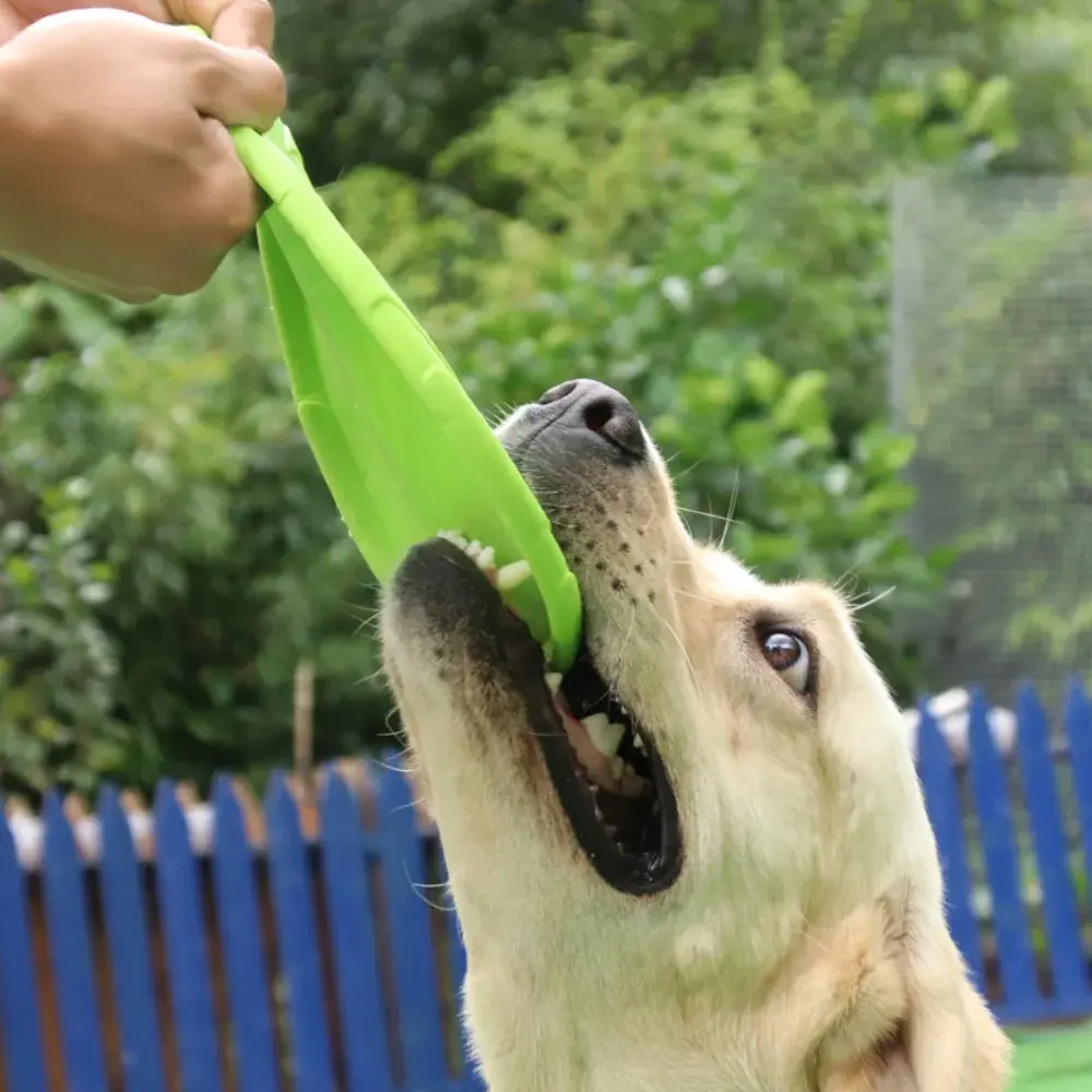 Dog Frisbeed Toys Multicolor Pet Dog Outdoor Game Flying Discs Trainning Interactive Toy Bite Resistant Flying Disc Pet Supplies