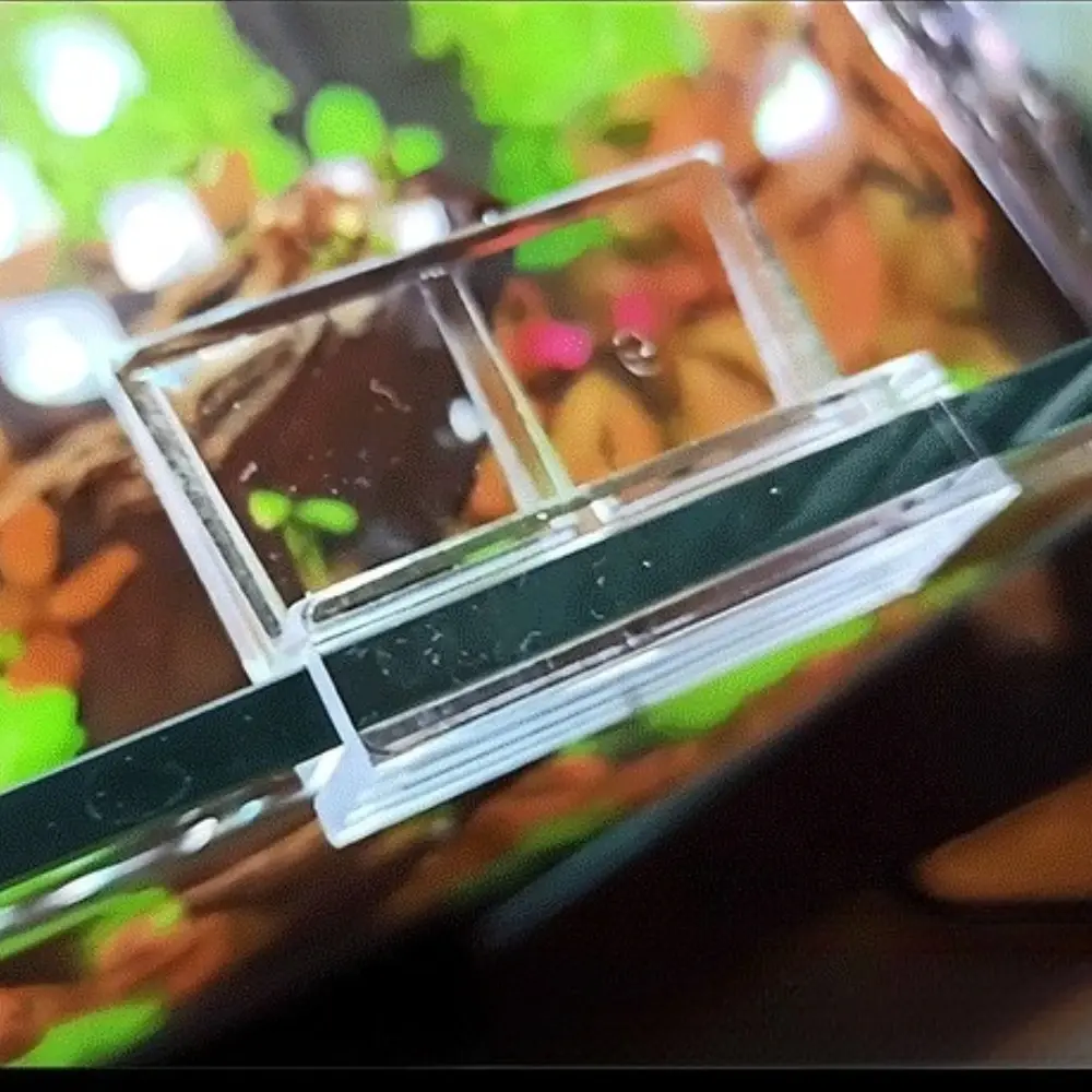 5/6/8/10/12mm Fish Tank Cover Plate Clip Brackets Aquarium Acrylic Clip Glass Cover Support Holders Clamps Accessories