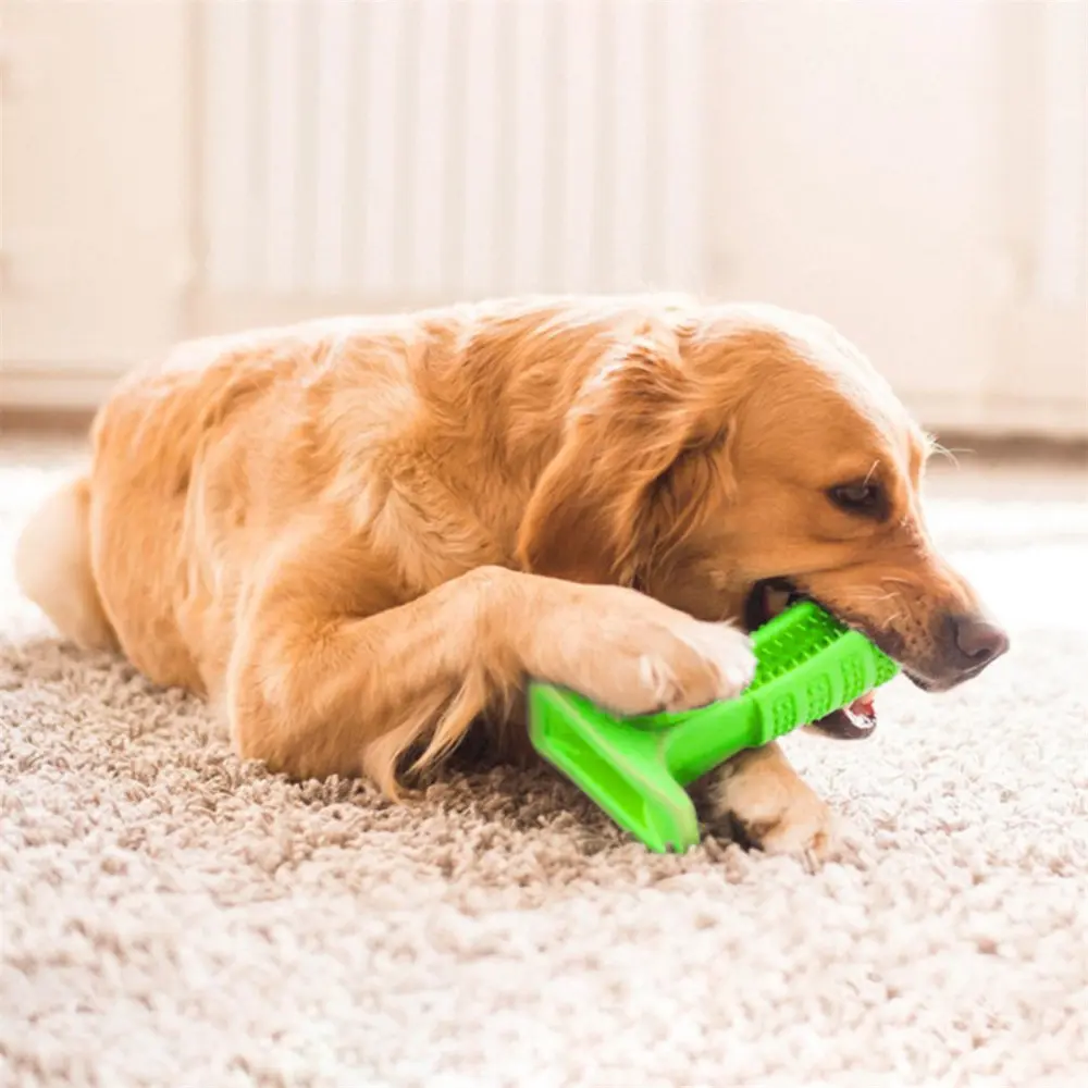 Dog & Pet Chew Toy Teeth Cleaning Oral Care Bite Resistant Toothbrush Stick Bad Breath Removable Supplies