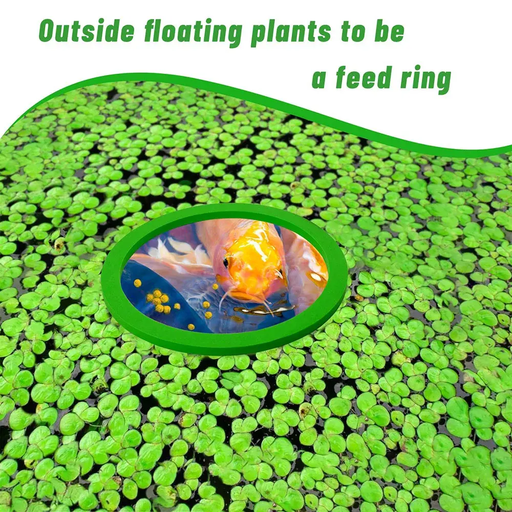 5pcs Aquarium Floating Plant Rings Fish Tank Fish Feeding Rings Floating Grass Blocking Rings Pond Aquarium Accessories