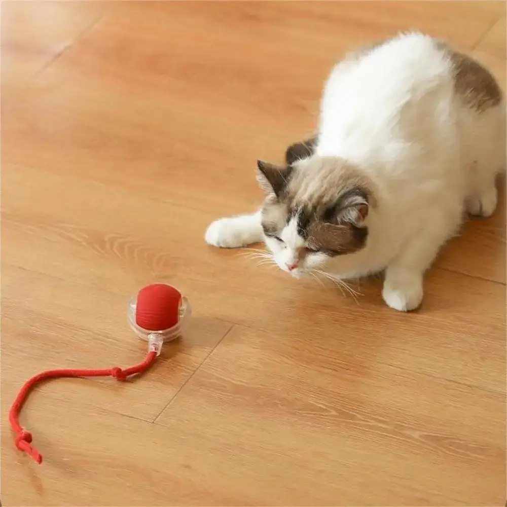 Cat Interactive Ball Toys 3 Mode Automatic Rolling Ball Faux Tail Rechargeable Smart Pet Electric Toy Training Imitate Mouse