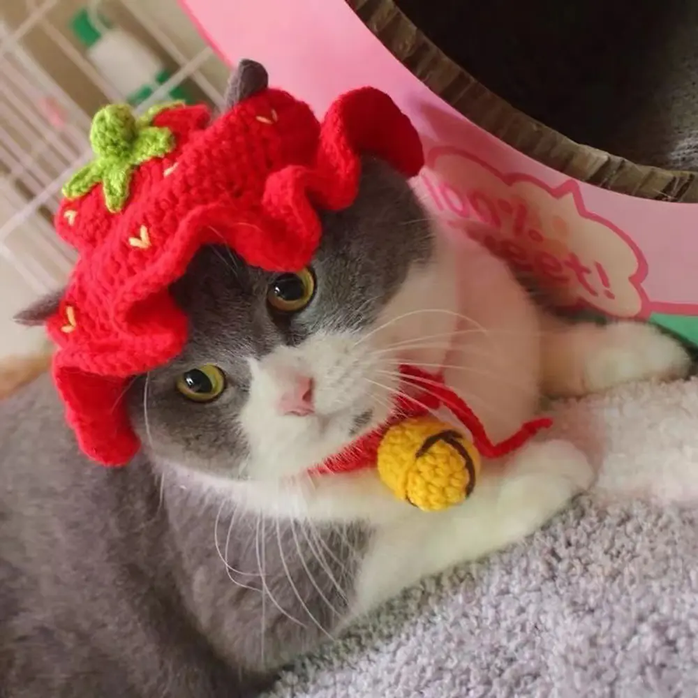 Elastic Cute Knitted Cat Cap Autumn Winter pet Hat for Puppy Kitten Headwear Party Photo Shoot Props Decoration Cat Accessories