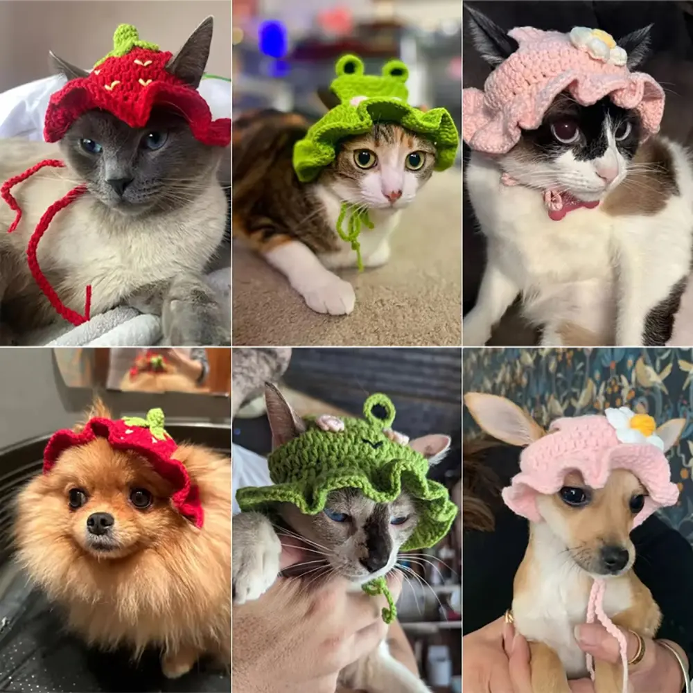 Elastic Cute Knitted Cat Cap Autumn Winter pet Hat for Puppy Kitten Headwear Party Photo Shoot Props Decoration Cat Accessories