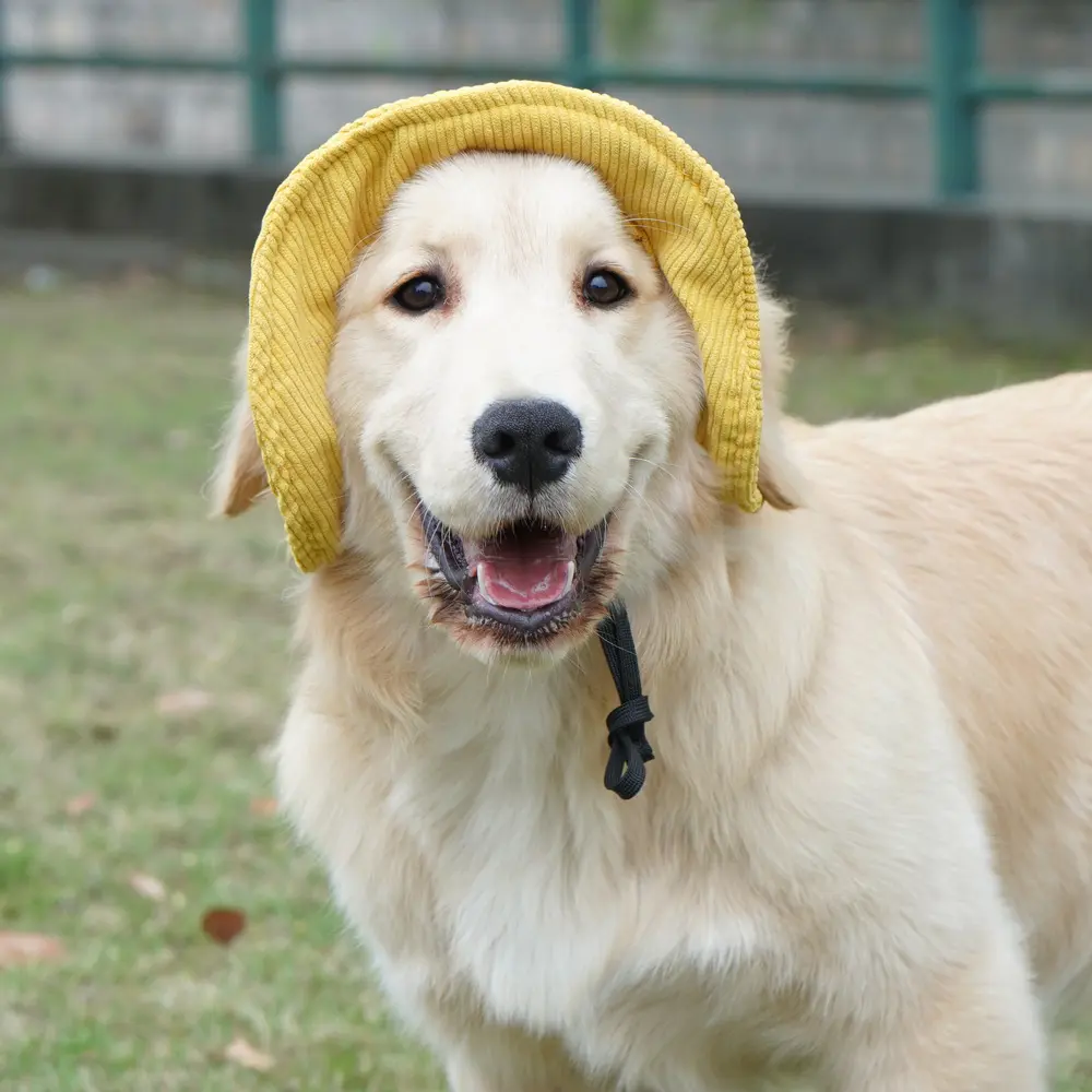 With Ear Holes Pet Sun Hat Adjustable Cap Summer Sport Hat Breathable Corduroy Outdoor Cosplay Pet Accessories for Dogs Cats