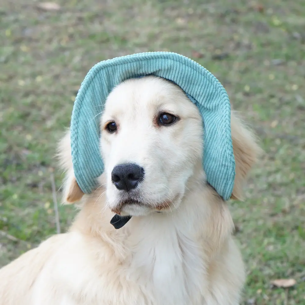With Ear Holes Pet Sun Hat Adjustable Cap Summer Sport Hat Breathable Corduroy Outdoor Cosplay Pet Accessories for Dogs Cats