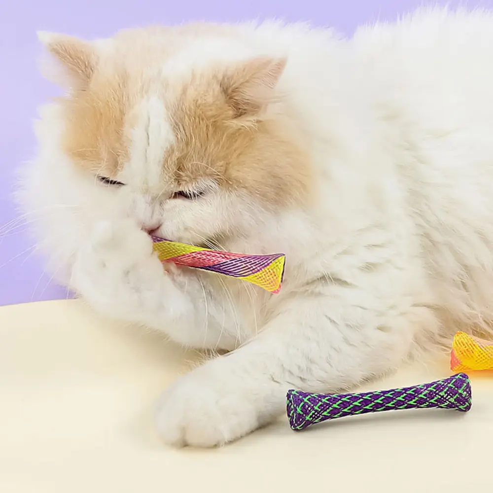 3pcs Cat Spring Toy Interactive Funny Jumping Catcting Toy Colorful Pet Telescopic Tube Flexible Spiral Spring Cat Chewing Toy
