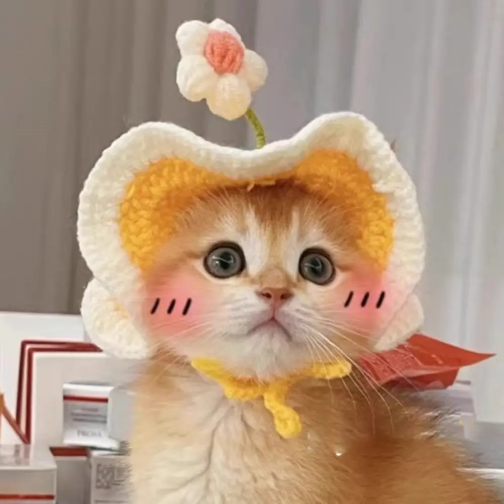 Cute Flower Cat Hat Pet Cap Knitted Headgear Puppy Kittens Woolen Transformation Dress Up Headdress Fashion Funny Pet Accessory