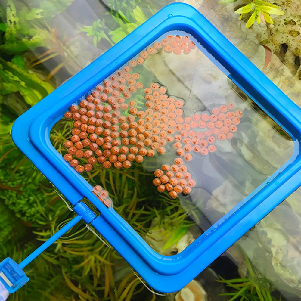 Aquarium Feeding Ring Fish Tank Station Floating Food Tray Feeder Water Plant Buoyancy Suction Cup Square Circle Accessory