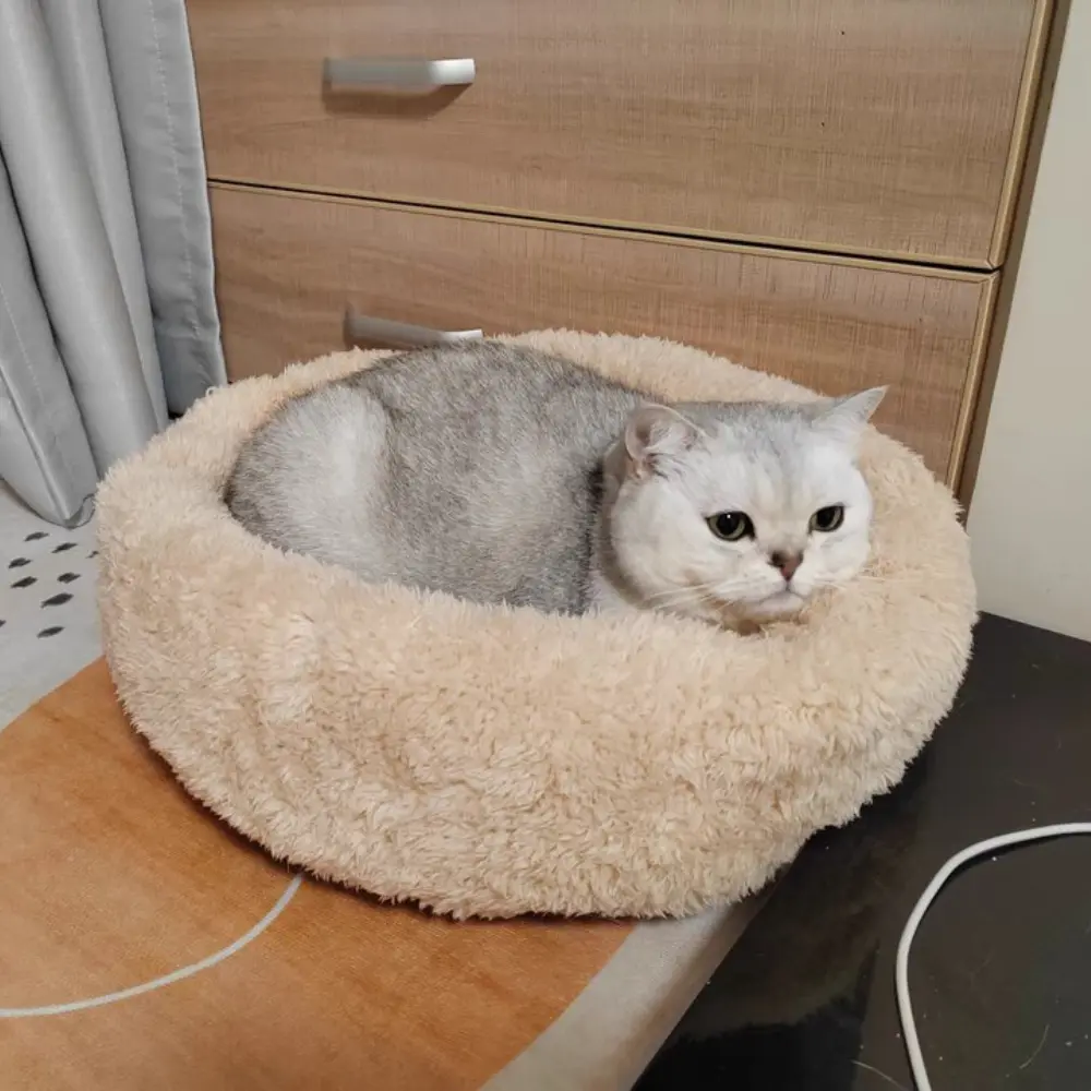 Cotton Pet Sleeping Pad Comfortable Pet Bed Cat Dog Home Soft Sleeping Bed For Small And Medium Sized Cats And Dogs Pet Supplies