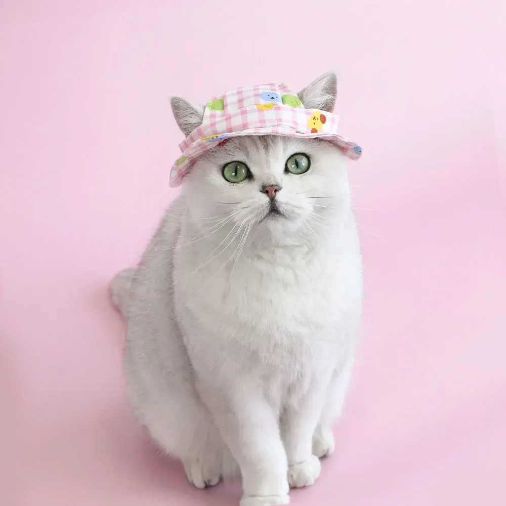 Cute Pet Hat for Small Dogs Cats Dog Summer Breathable Sunscreen Hat with Ear Holes Puppy Kitten Outdoor Travel Hiking Hat