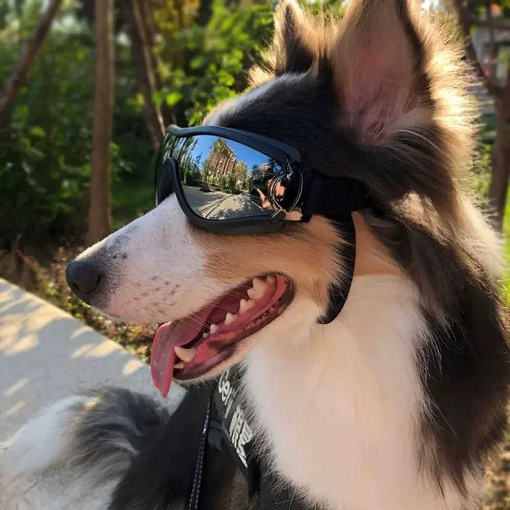 Dog Goggles Adjustable Dog Sunglasses Anti-UV Pet Sunglasses for Small Large Dogs Pet Eyewear Eye Protection Black Widely Used
