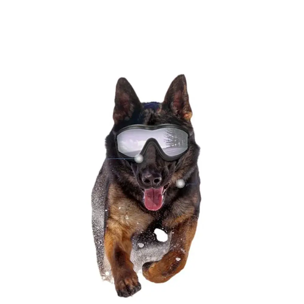 Dog Goggles Adjustable Dog Sunglasses Anti-UV Pet Sunglasses for Small Large Dogs Pet Eyewear Eye Protection Black Widely Used