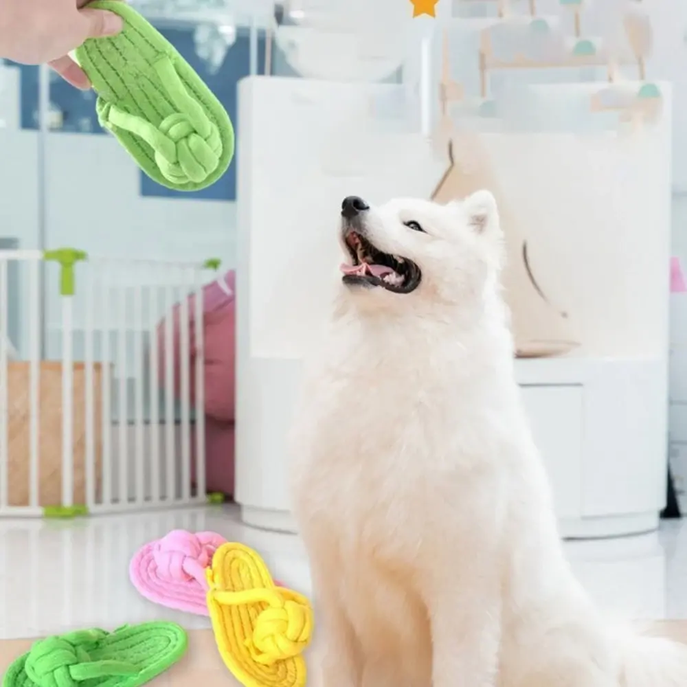 Cotton Dog Interactive Chew Toy Fun Rope Slipper Toy Pet Molar Teeth Cleaning Toys Home Pet Toy for Small Large Dog Pet Supplies