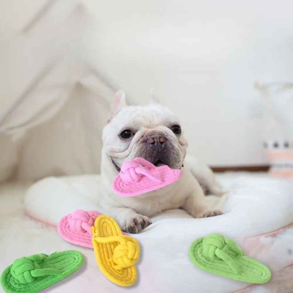 Cotton Slipper Rope Dog Chewing Toy for Large & Small Dogs Teeth Training Molar Interactive Pet Accessories