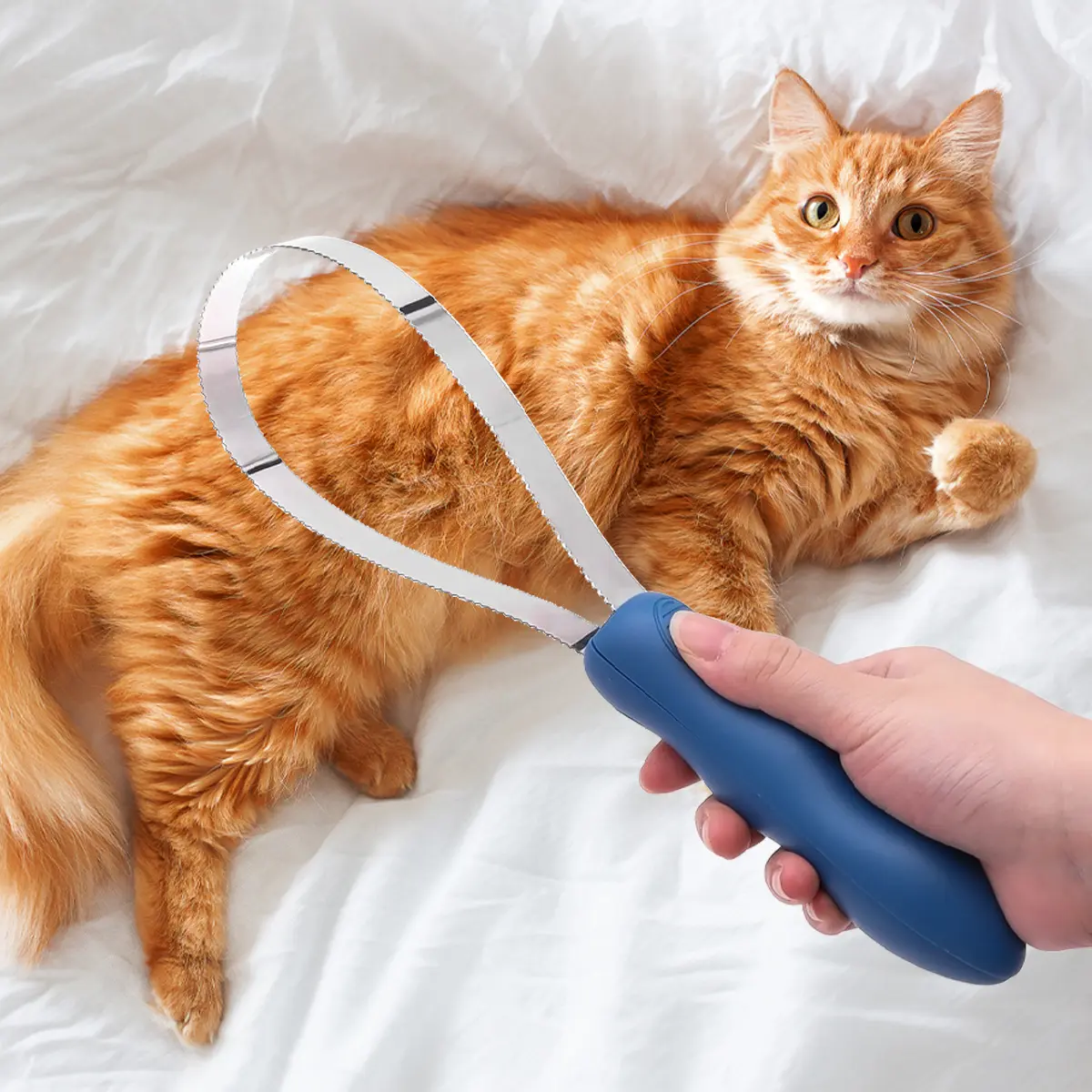 Pet Brush Scraper Horse Sweat Scraper Hair Shedding Blade Brush Horse Grooming Tool for Cleaning Deshedding Hair Care Tool