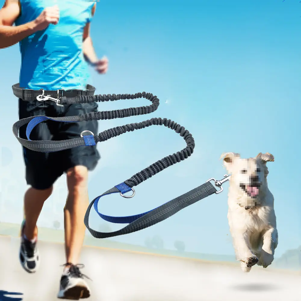 Retractable Reflective Hands Free Dog Leash for Running Jogging with Elastic Traction Rope Metal D-ring Pet Supplies