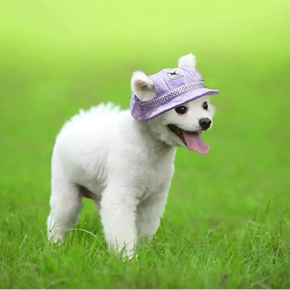 Pet Princess Hat Dog Hat with Ear Holes Adjustable Mesh Breathable Pet Hat for Small Dogs Cats Outdoor Sunhat Pet Supplies