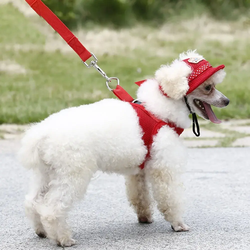 Pet Princess Hat Dog Hat with Ear Holes Adjustable Mesh Breathable Pet Hat for Small Dogs Cats Outdoor Sunhat Pet Supplies