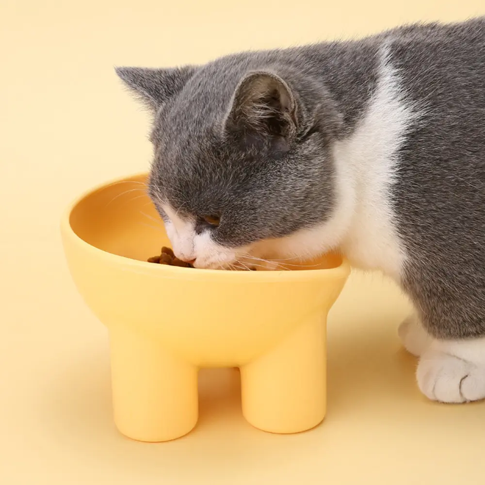 Household Pet Food Bowl Anti-tip Pet Feeding Bowl Protect Cat's Spine Stable Durable Tilted Bowl