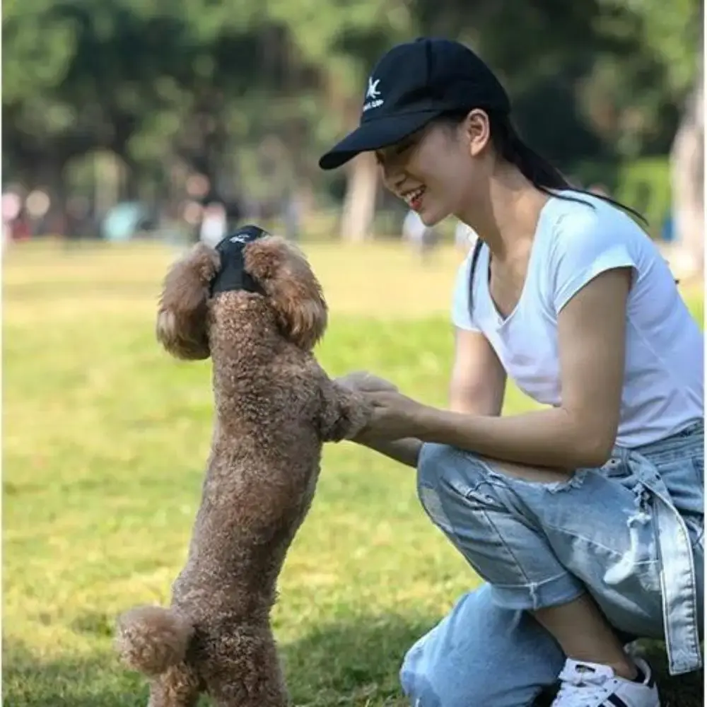 Pet Baseball Cap Summer Outdoor Dog Sun Hat for Small Large Dogs Cats Adjustable Pet Hat with Ear Holes Dog Accessories