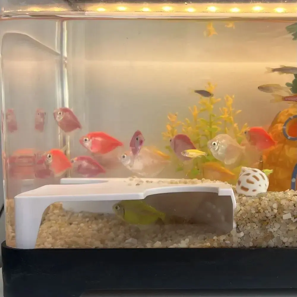 1pc Aquarium Fish Shrimp Cave Shelter Double Hole Tunnel Fish Tank Fish Shelter Cave Aquarium Decoration Accessories
