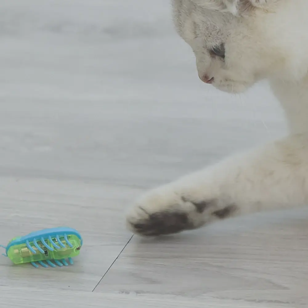 Pet Electronic Insect Mouse Toys for Cat Dog Automatic Flip Turns Electric Bug Cat Interactive Toy Pet Supplies