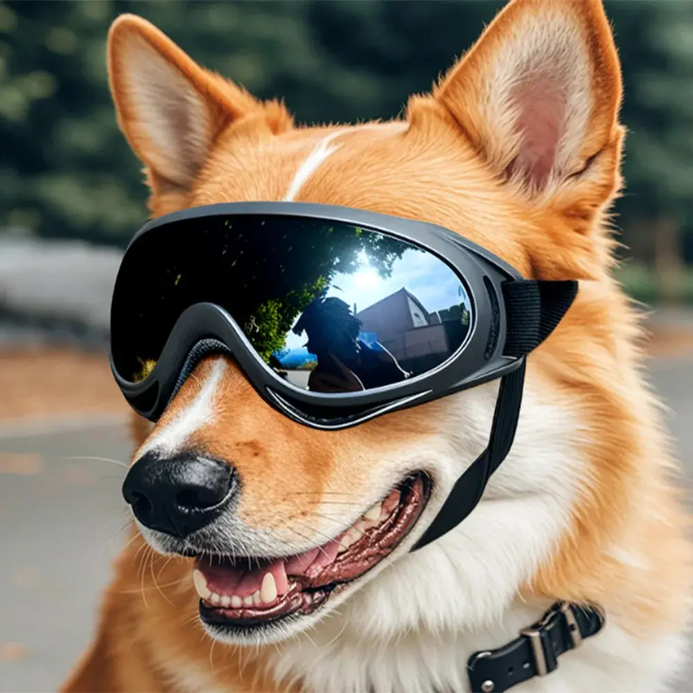 324
