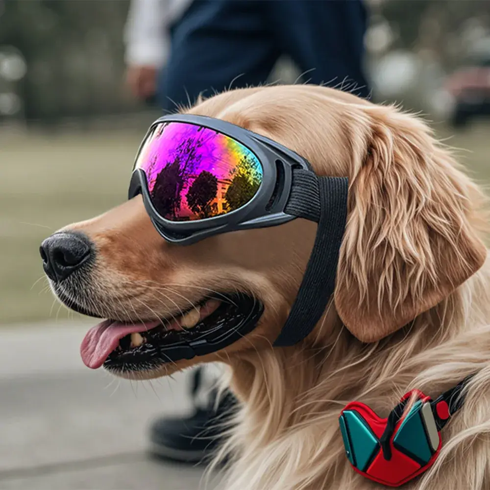 Adjustable Dog Glasses Outdoor Pet Goggles for Small Large Dogs Anti-UV Windproof Dog Sunglasses Pet Eyewear Eye Protection