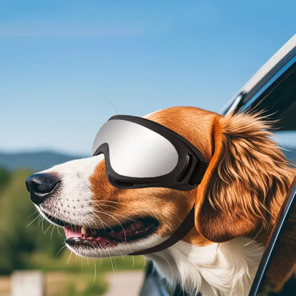 Adjustable Dog Glasses Outdoor Pet Goggles for Small Large Dogs Anti-UV Windproof Dog Sunglasses Pet Eyewear Eye Protection
