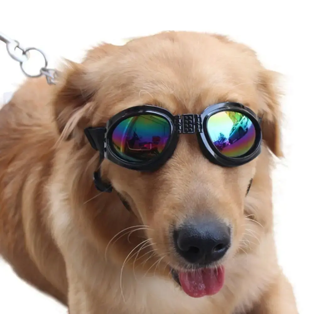 Adjustable Dog Goggles Foldable Prevent UV Pet Glasses for Small Medium Dog Cat Puppy Sunglasses Pet Photo Props Dog Accessories