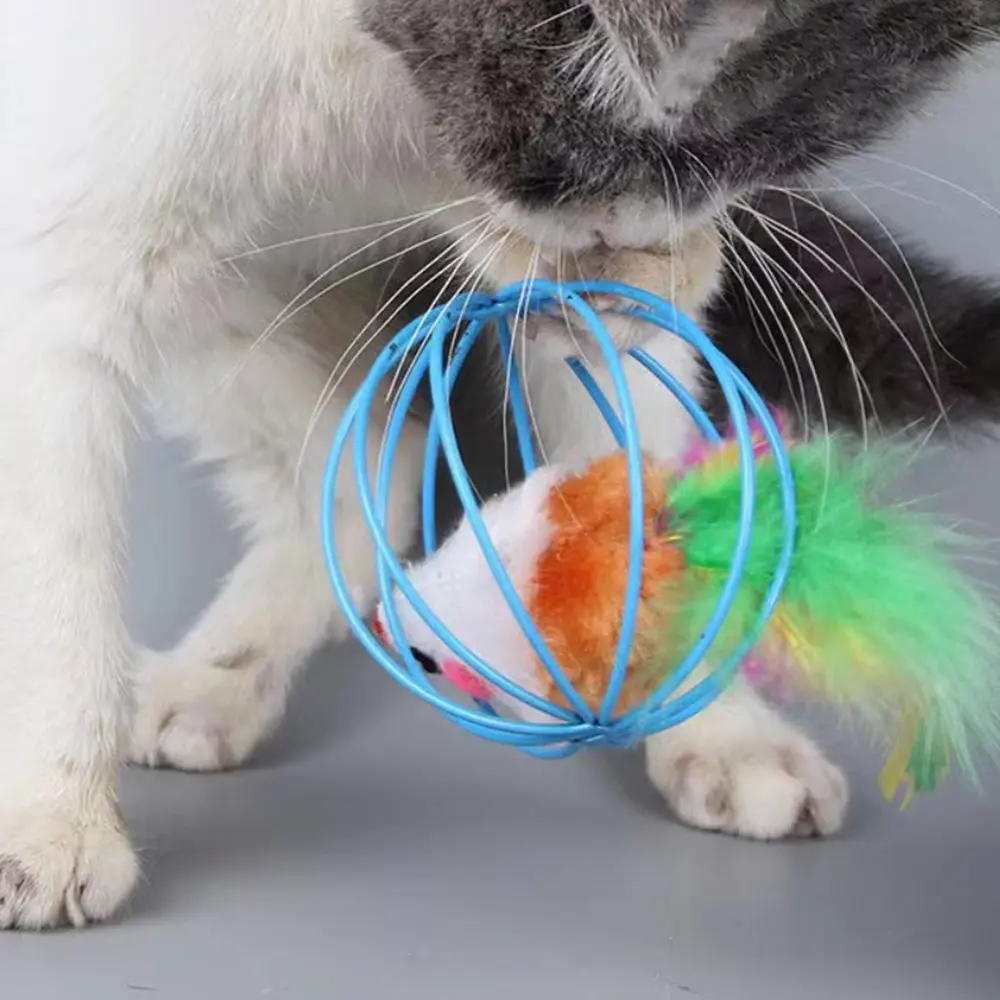 Colorful Mouse in Cage Cat Toy For Kitten Creative Playing Toys Pet Products Play Cat Mouse Toy