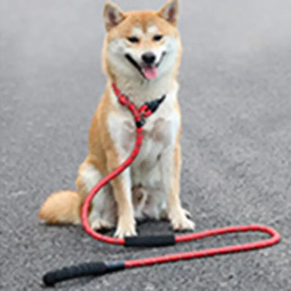 2M/3M/5M Long Rope Training Dog Leash Heavy Duty Nylon Recall Agility Training Dogs Lead Leash for Small Medium Large Dog Leash