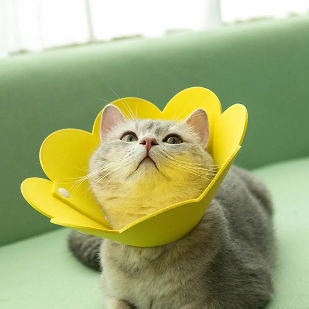 Flower-Shaped Recovery Collar - Adjustable Protective Cone for Post-Surgery Dogs & Cats