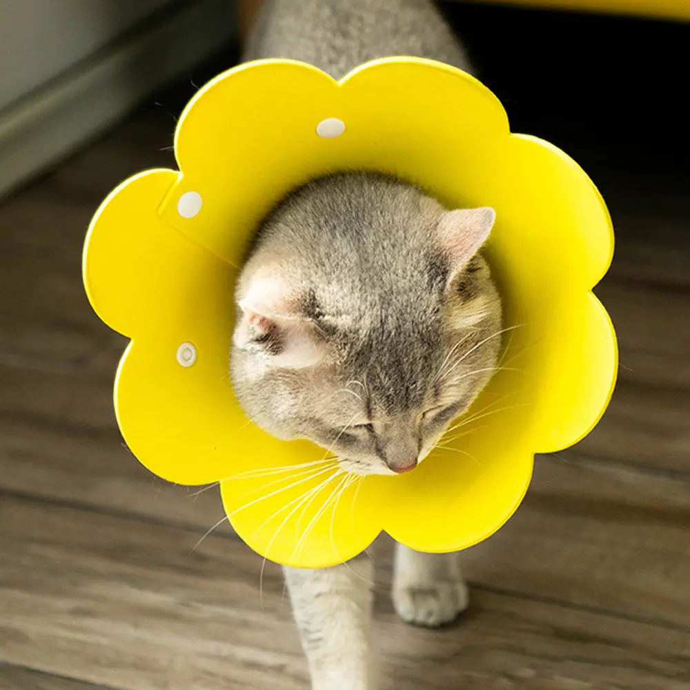 Flower-Shaped Recovery Collar - Adjustable Protective Cone for Post-Surgery Dogs & Cats