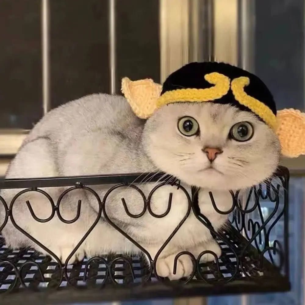 Cute Knitted Headgear for Cats Dogs Transformer Cosplay Props Autumn Winter Pet Hat Elastic Kittens Puppy Party Decorations
