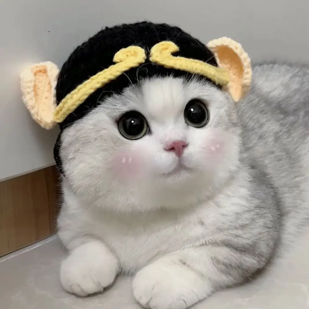 Cute Knitted Headgear for Cats Dogs Transformer Cosplay Props Autumn Winter Pet Hat Elastic Kittens Puppy Party Decorations
