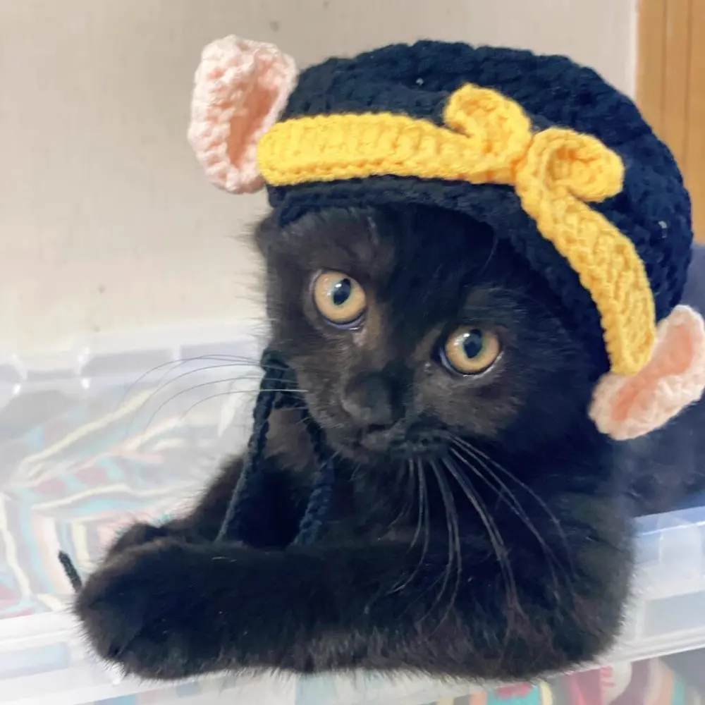 Cute Knitted Headgear for Cats Dogs Transformer Cosplay Props Autumn Winter Pet Hat Elastic Kittens Puppy Party Decorations