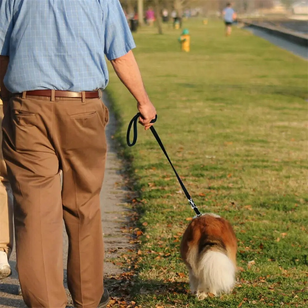 2.5M Adjustable Dual-End Pet Training Leash - Reflective PP Rope for Outdoor Running & All-Size Dogs