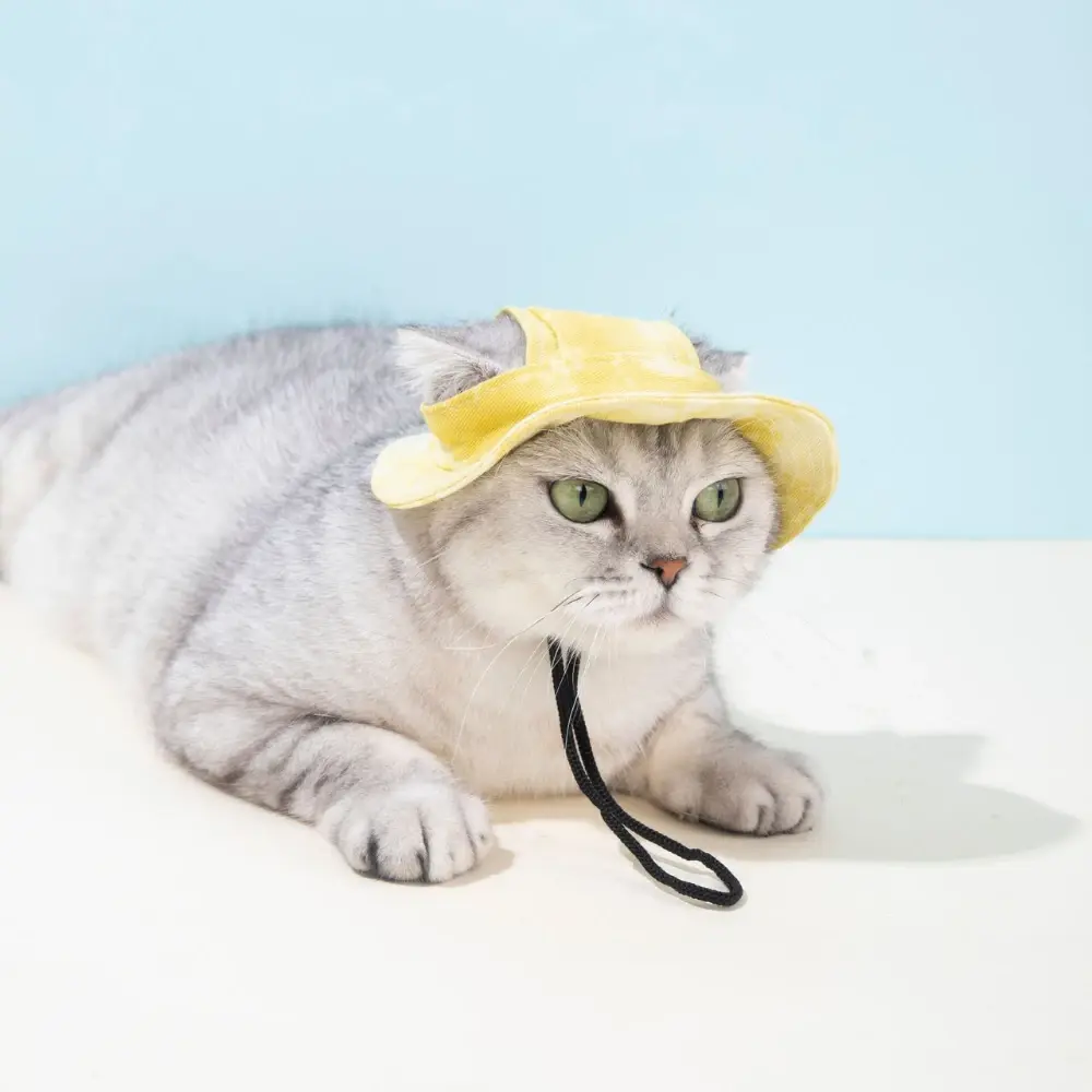 Pet Hat with Ear Holes Summer Outdoor Cute Dog Cat Hat Colorful Adjustable Baseball Cap for Small Medium Dogs Cats Pet Supplies