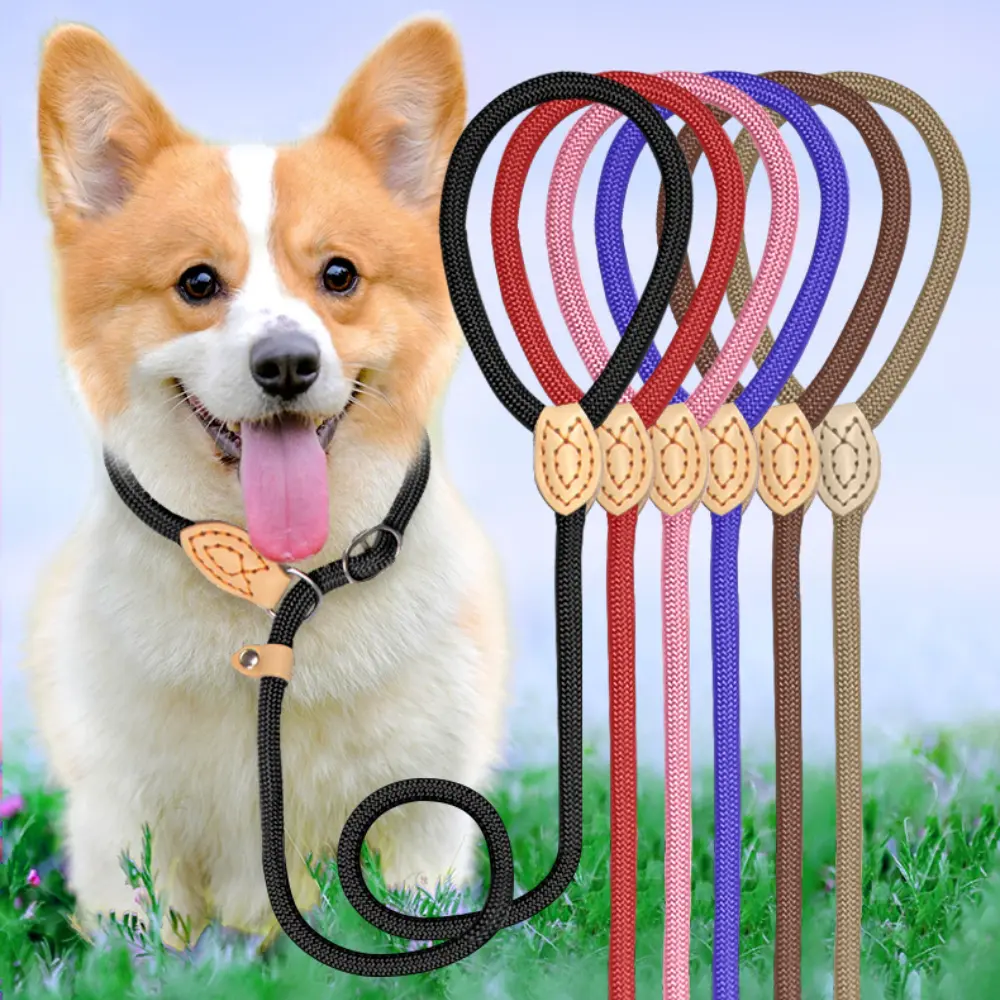Anti-Pull Dog Leash Sliding Adjustable Training Leash for Small Medium Large Dogs Behavior Correction Nylon P-shape Chain Leash