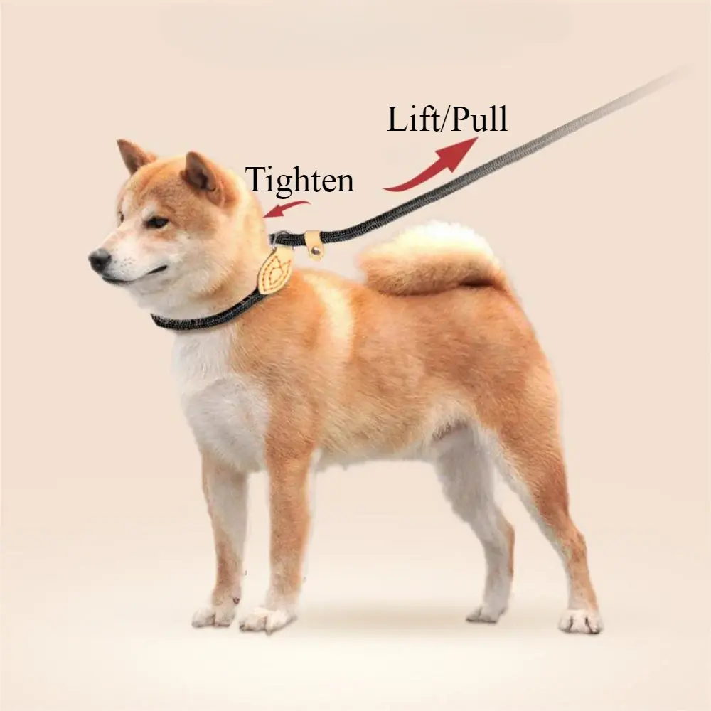 Anti-Pull Dog Leash Sliding Adjustable Training Leash for Small Medium Large Dogs Behavior Correction Nylon P-shape Chain Leash