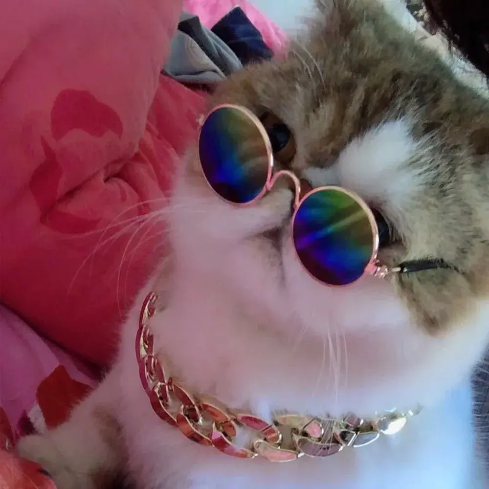 Round Cat Sunglasses Reflection Eyewear Funny Pet Glasses for Small Dogs Cats Puppy Kitten Photos Props Cat Accessories