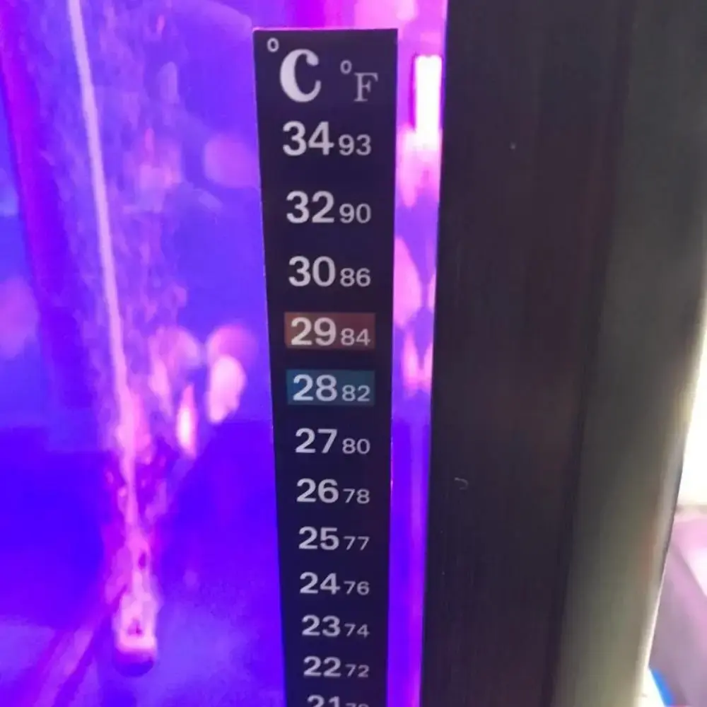 324