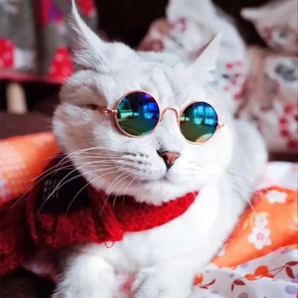 Round Cat Sunglasses Reflection Eyewear Funny Pet Glasses for Small Dogs Cats Puppy Kitten Photos Props Cat Accessories