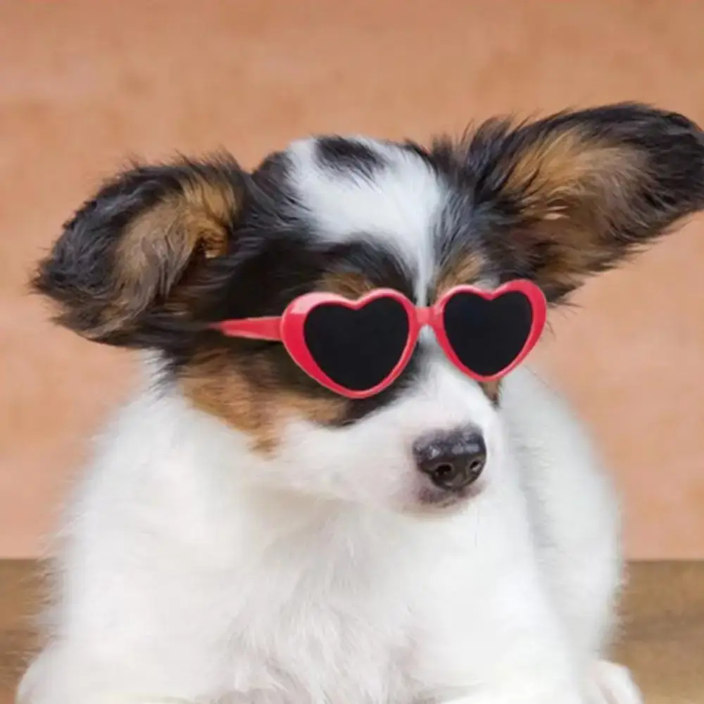 Fashion Heart Dog Glasses Pet Sunglasses for Small Dogs Cats Puppy Kitten Photo Props Decorations Dog Summer Party Eyewear