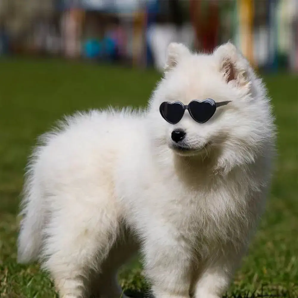 Fashion Heart Dog Glasses Pet Sunglasses for Small Dogs Cats Puppy Kitten Photo Props Decorations Dog Summer Party Eyewear