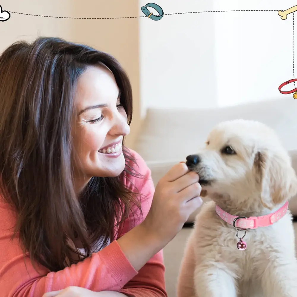 Dog Leash Collar Reflective Paw Print Leashes Rope for Small Medium Dogs Cat Puppy Soft Breathable Outdoor Walking Leads Leash