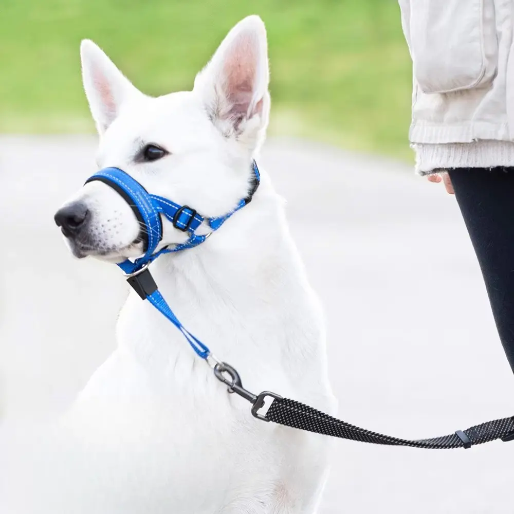 Adjustable Dog Muzzle for All Sizes Reflective Breathable Anti-Bite Training Tool with Secure Strap for Small Medium Large Dog